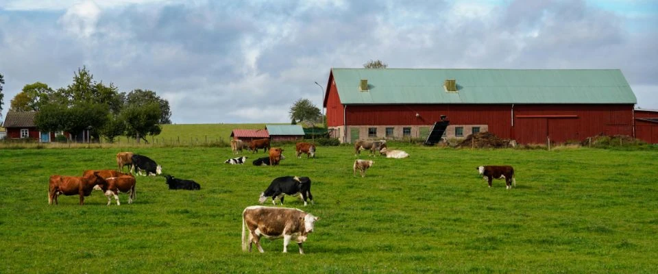 Boerderij achter de dijk aan de Noordzee